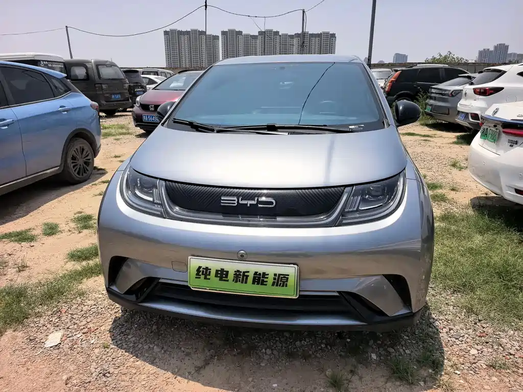 BYD Dolphin 2024 420km Freedom