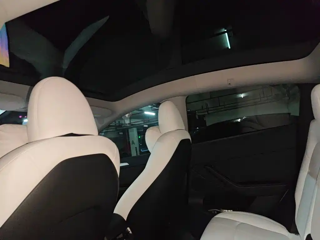 Tesla Model Y — миниатюра 19