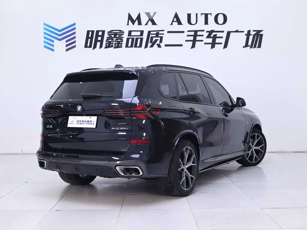BMW X5 — миниатюра 7