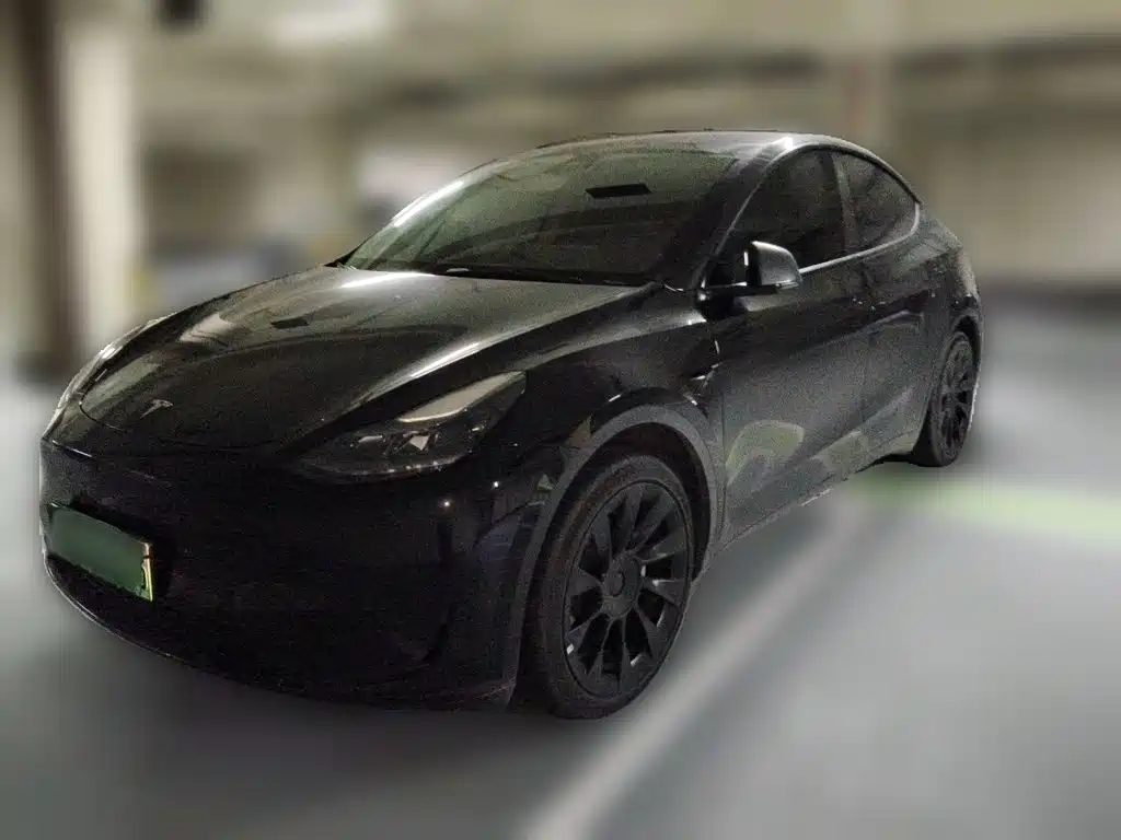Tesla Model Y — миниатюра 2