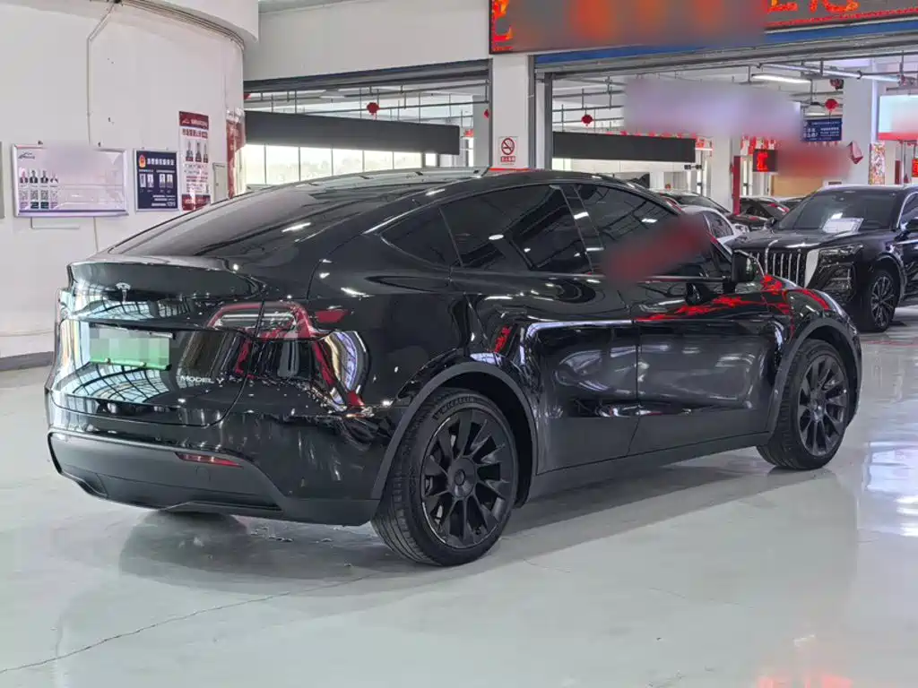 Tesla Model Y — миниатюра 24