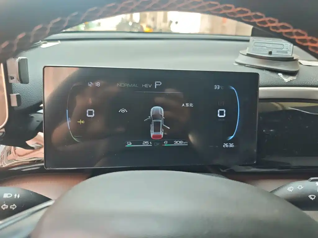 BYD Pro New Energy — миниатюра 7