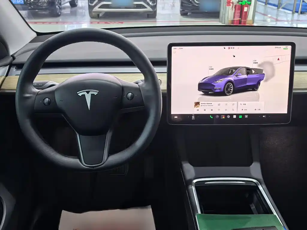 Tesla Model Y — миниатюра 23