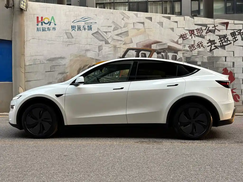 Tesla Model Y — миниатюра 3