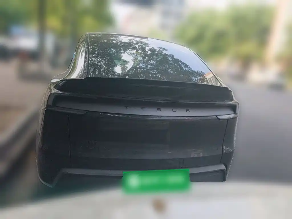 Tesla Model Y L — миниатюра 3
