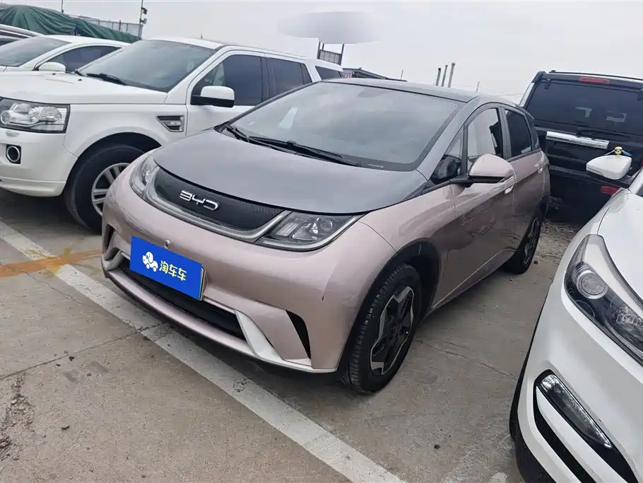 BYD Dolphin 2021 405km Fashion Edition