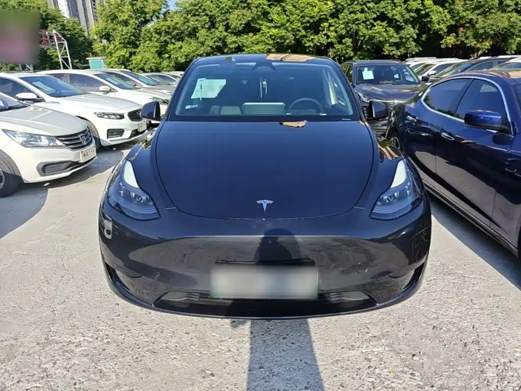 Tesla Model Y — миниатюра 3