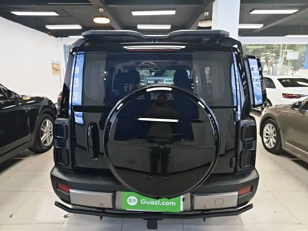 Haval Menglong New Energy — миниатюра 6