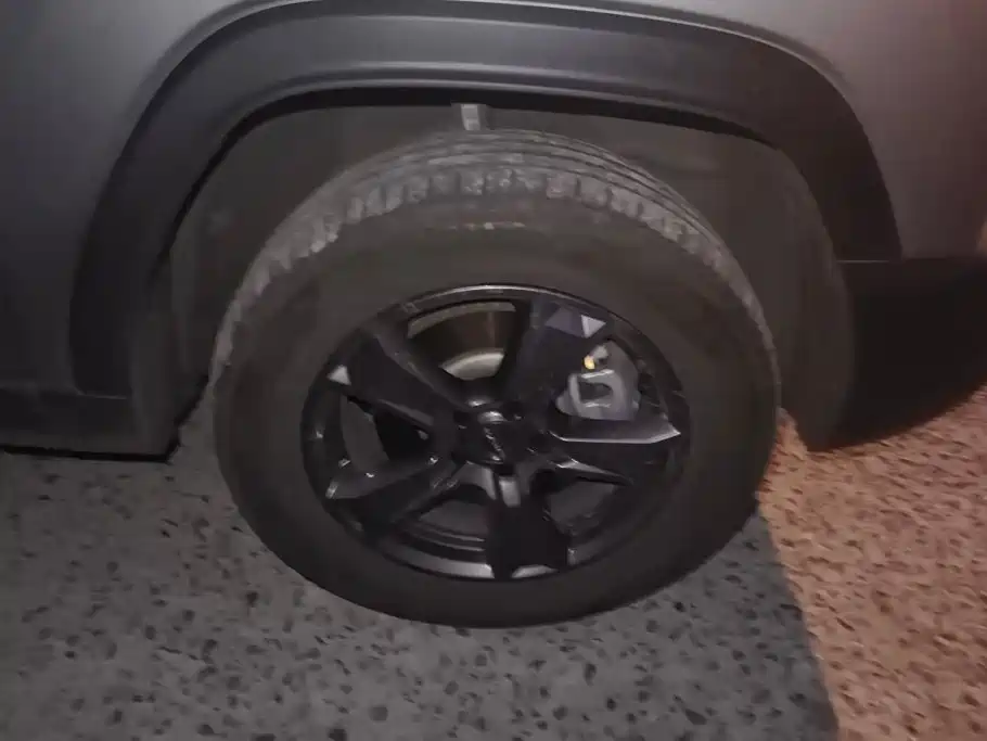 Haval Menglong New Energy — миниатюра 6