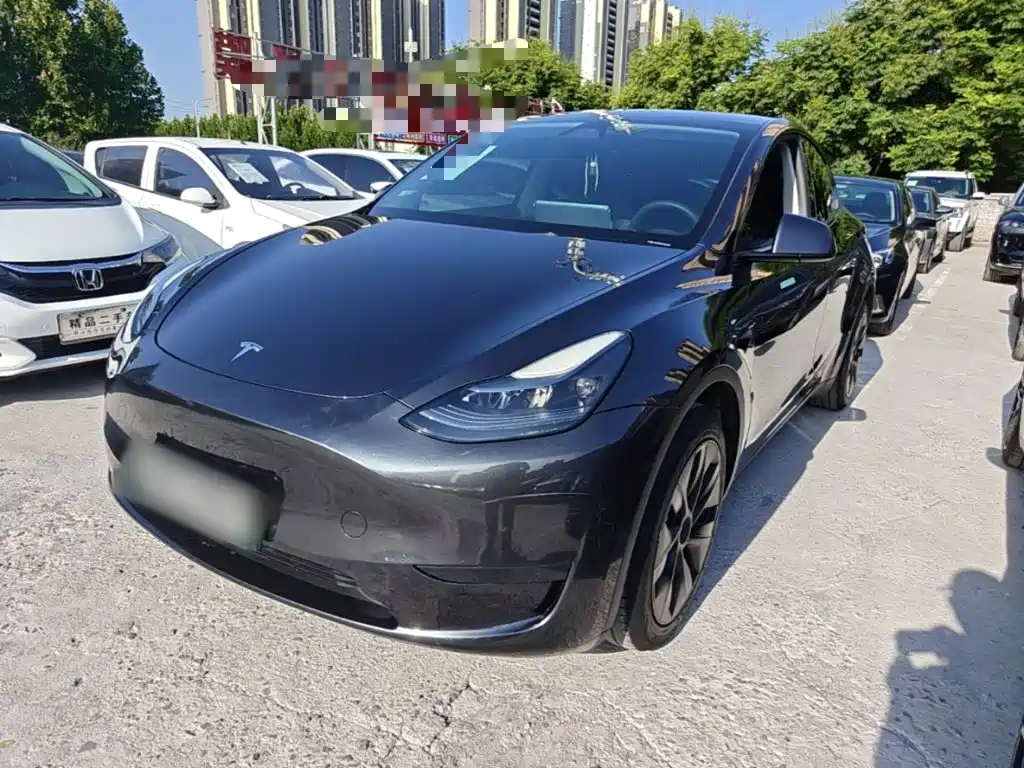 Tesla Model Y — миниатюра 2