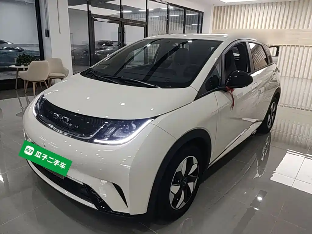 BYD Dolphin — миниатюра 2