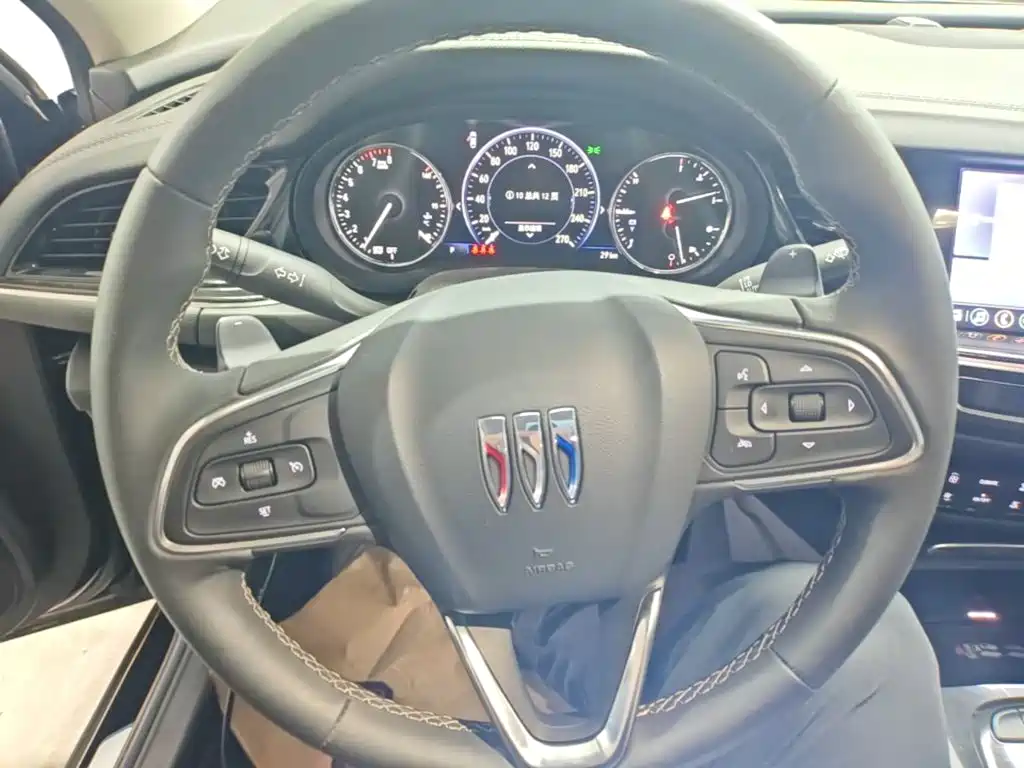Buick Regal — миниатюра 11
