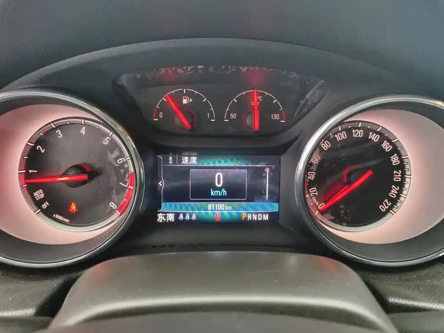 Buick Regal — миниатюра 14