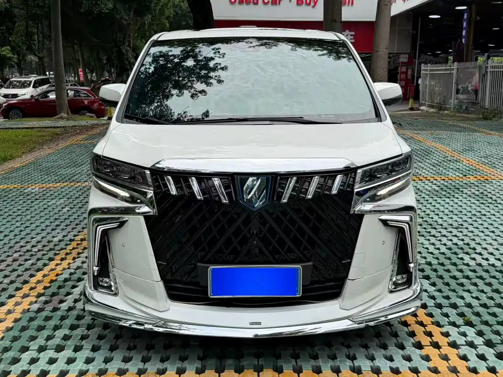 Toyota Alphard 2019 2.5L Luxury