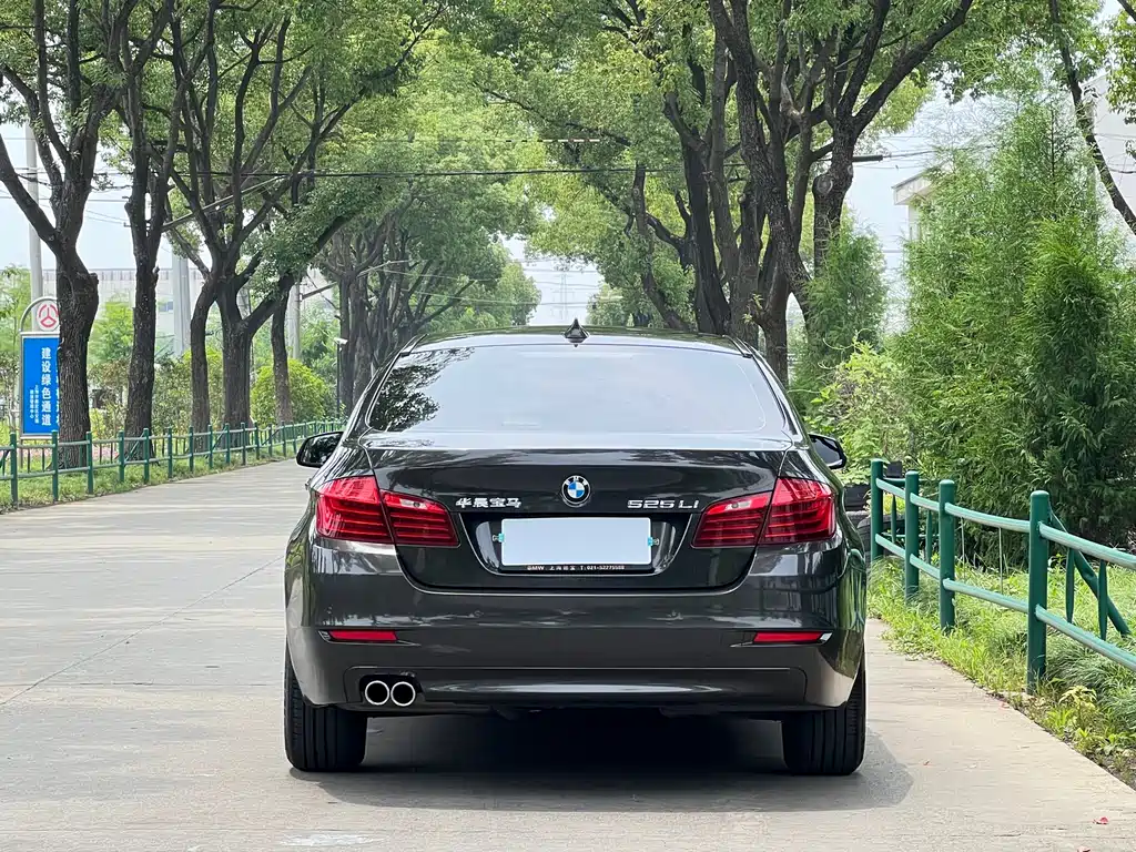 BMW 5 Series 5 2014 525Li Lead