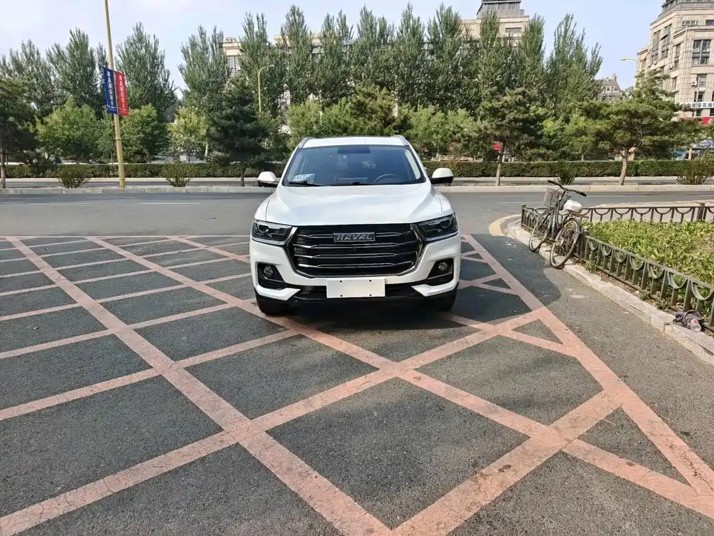 Haval H6 — миниатюра 2