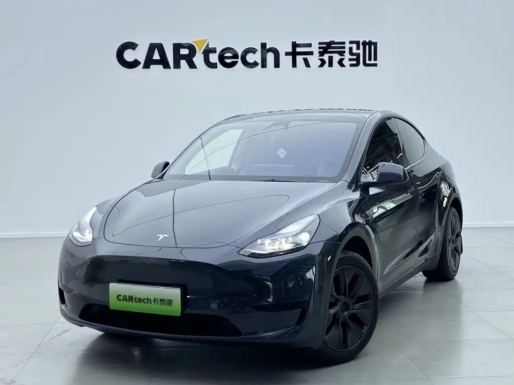 Tesla Model Y — миниатюра 6