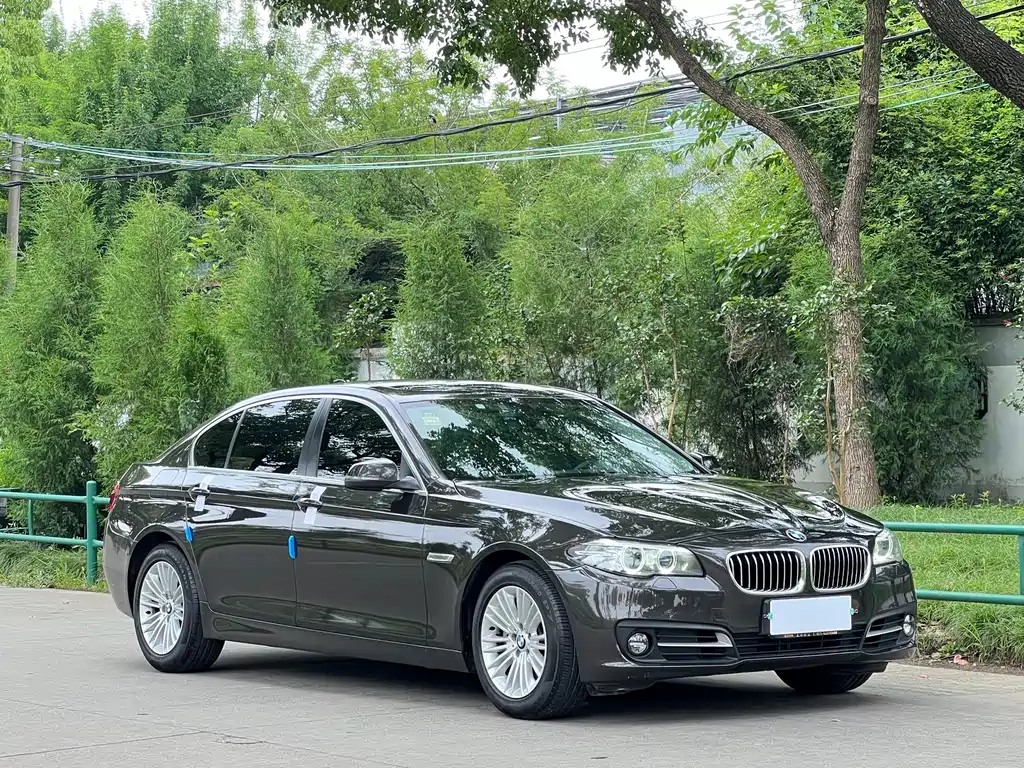 BMW 5 Series 5 2014 525Li Lead