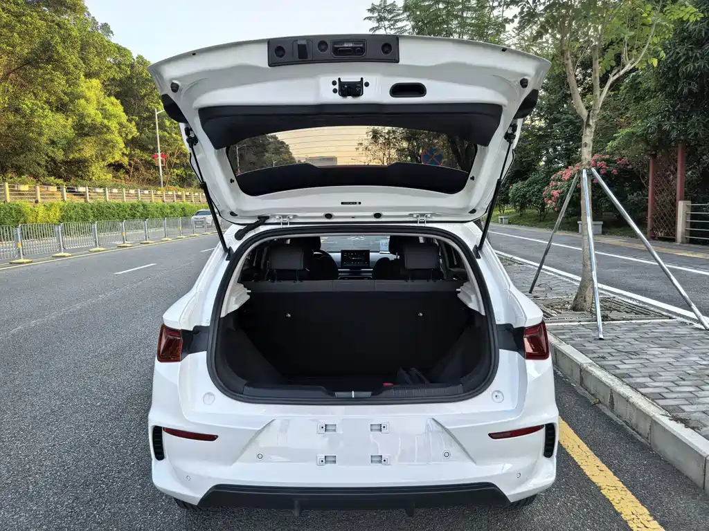 BYD e2 — миниатюра 19