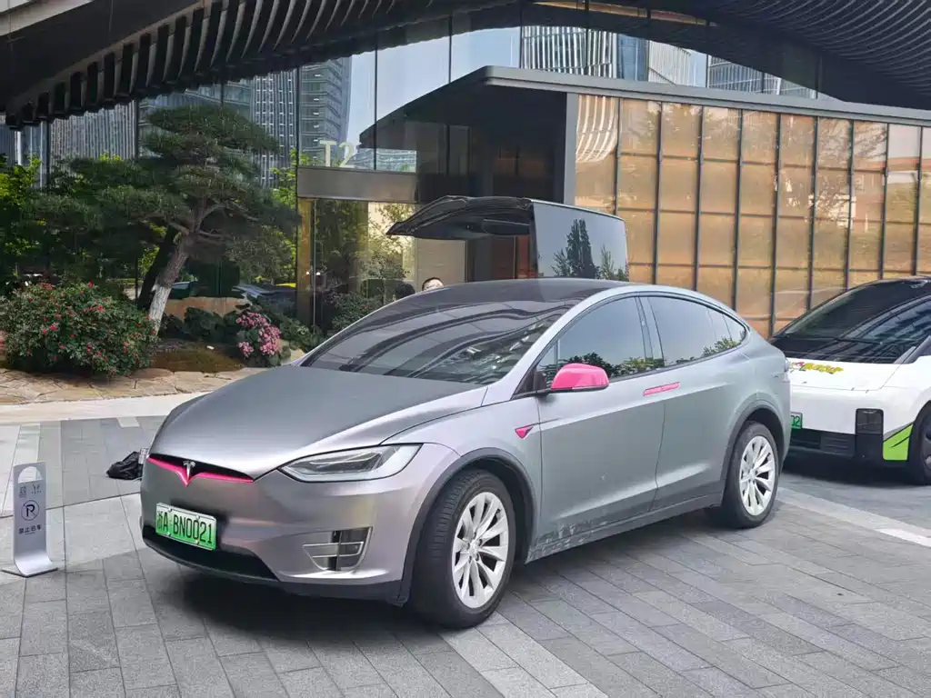 Tesla Model X 2019