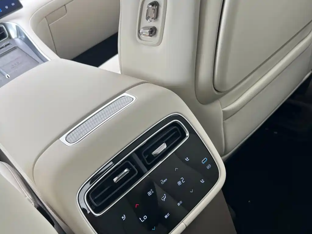 Denza Zoom N8L — миниатюра 13