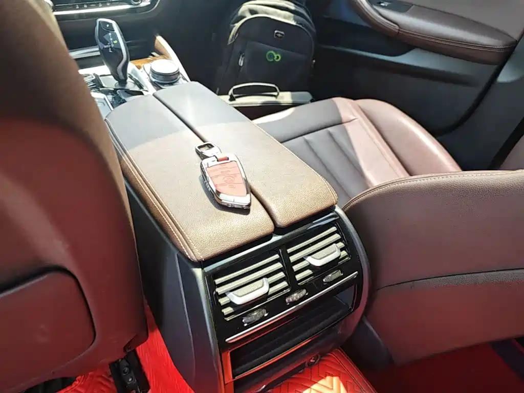BMW 5 Series 5 2019 525Li Luxury