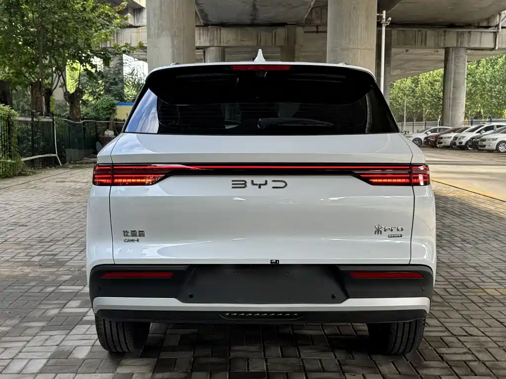 BYD Pro New Energy — миниатюра 10