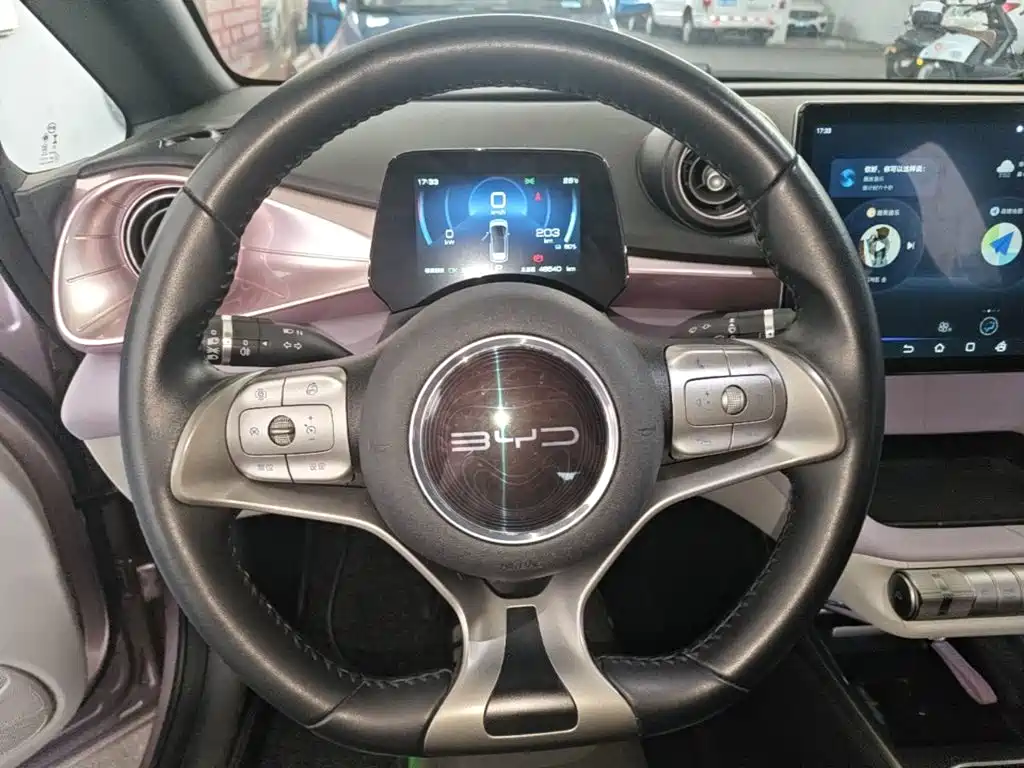 BYD Dolphin — миниатюра 11