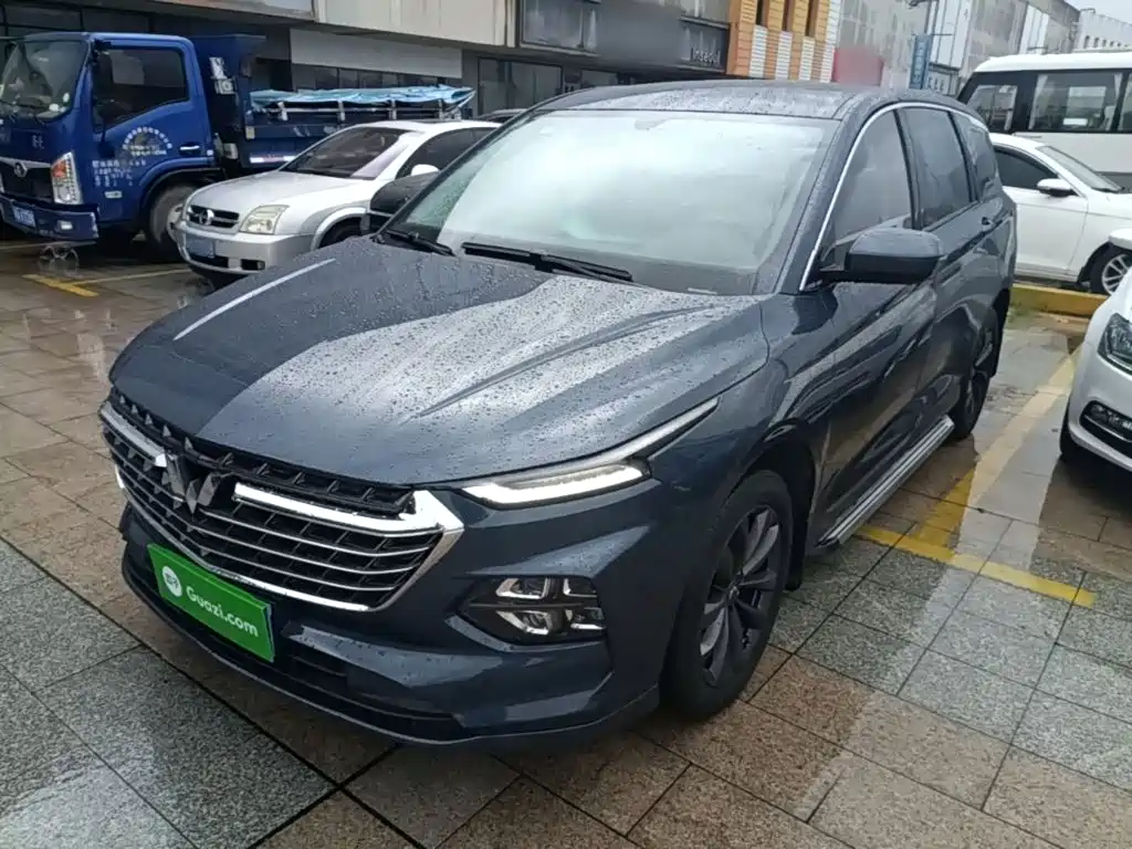 Wuling Victory — миниатюра 2