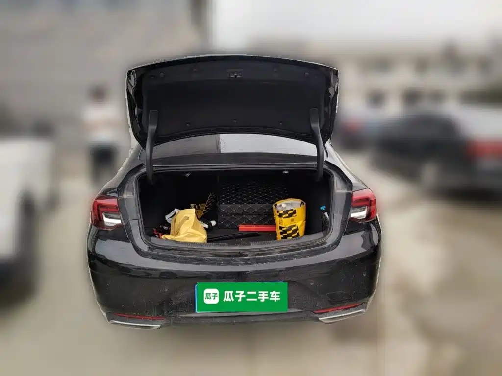Buick Regal — миниатюра 15