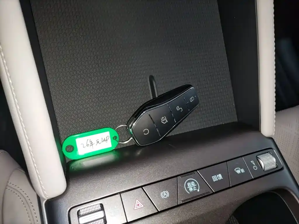 BYD Yuan Up UP 2025 301KM