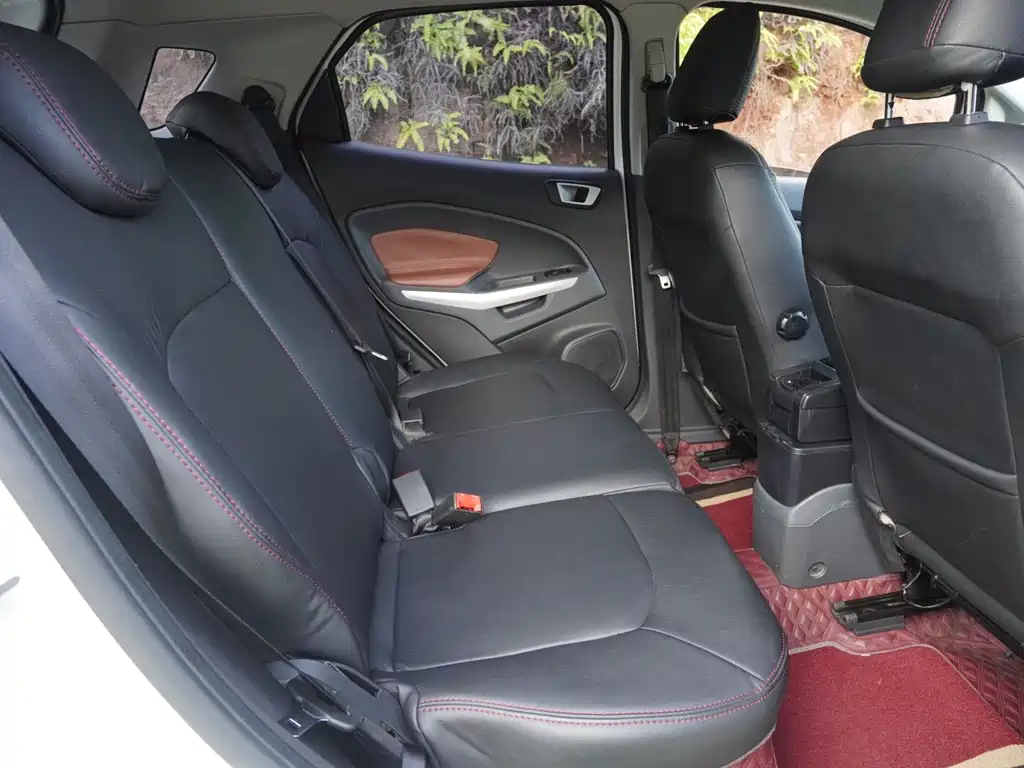 Ford Ecosport — миниатюра 14