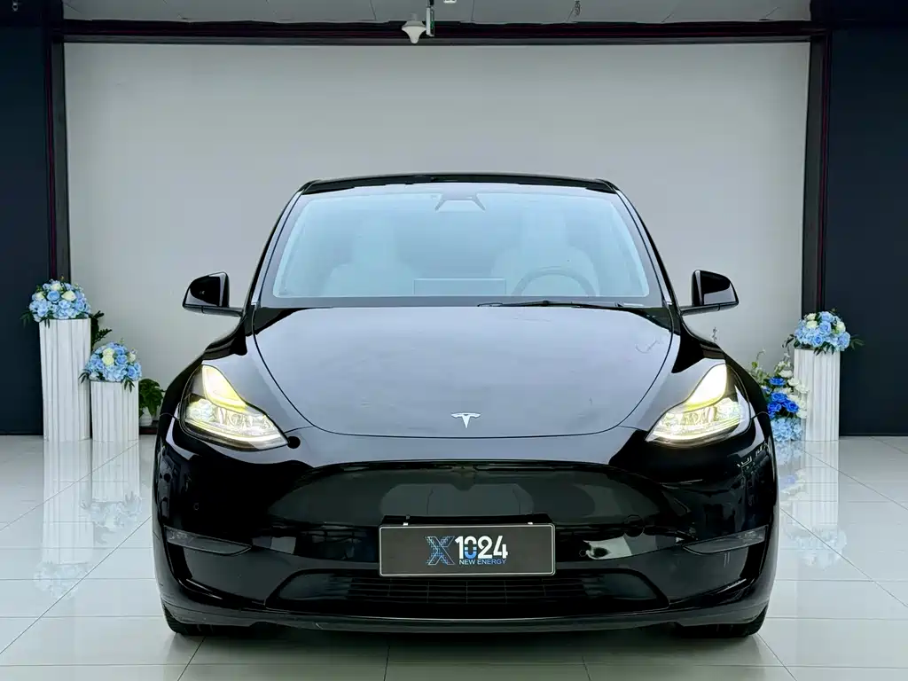 Tesla Model Y — миниатюра 2
