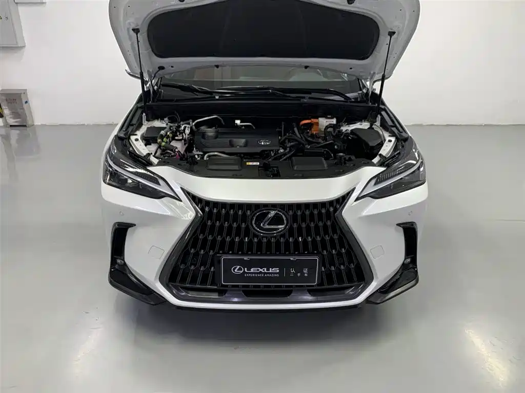 LEXUS NX NEW ENERGY
