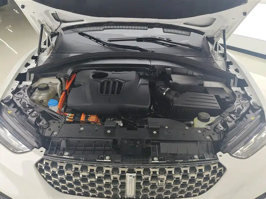 WEI PAI WEI BRAND VV7 NEW ENERGY