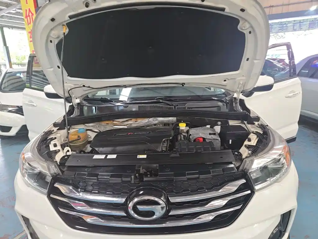GAC Motor Trumpchi GS4 — миниатюра 20