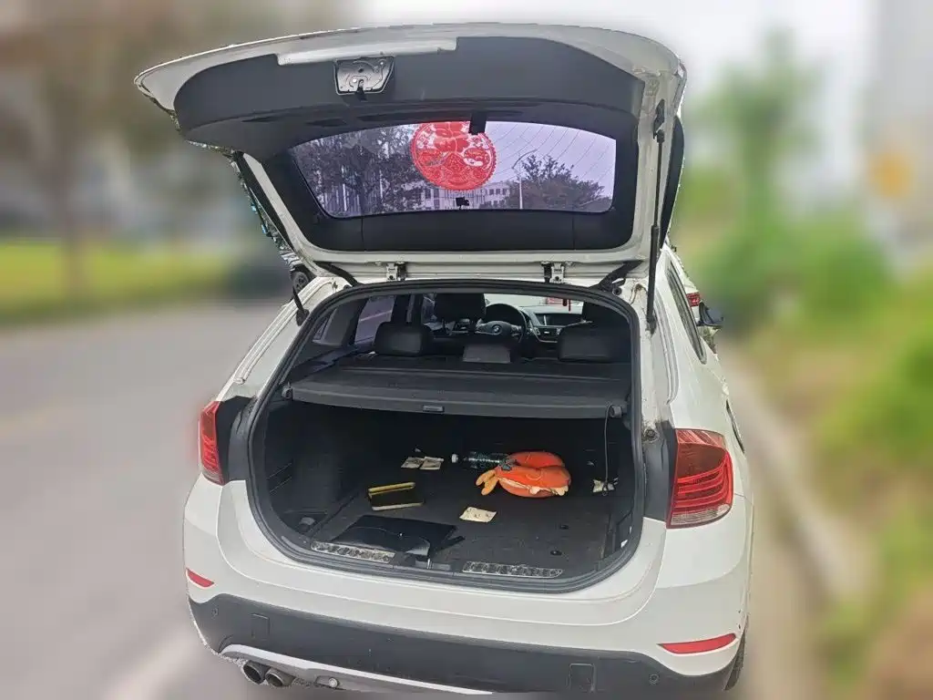 BMW X1 — миниатюра 20