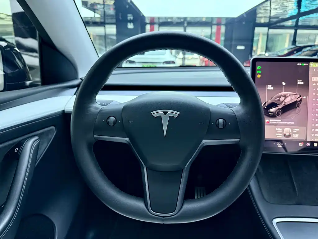 Tesla Model Y — миниатюра 8