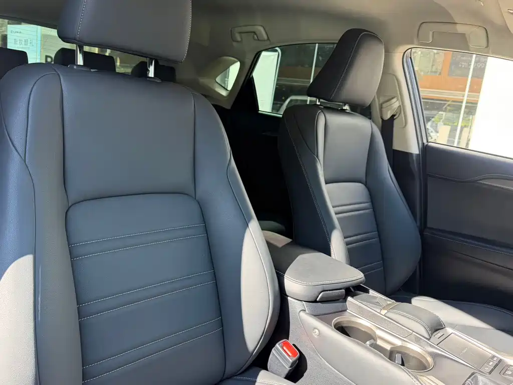 Lexus NX — миниатюра 10