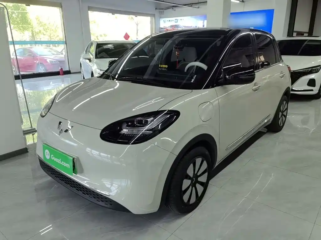 Wuling Binguo 2024 333km Enjoy