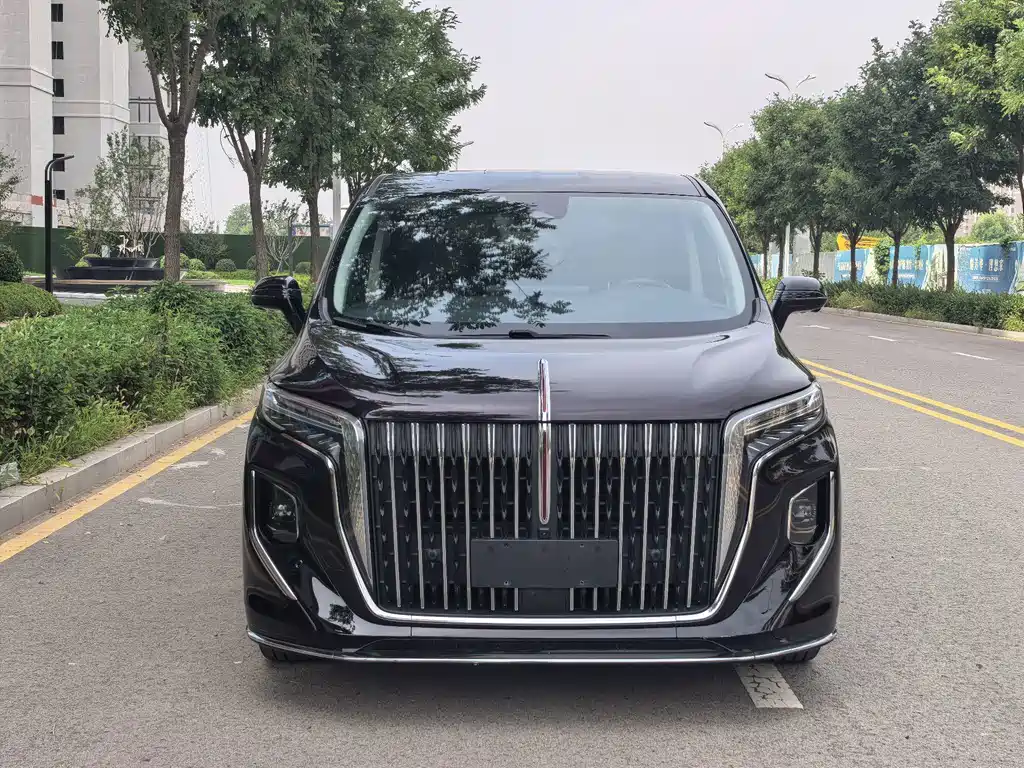 Hongqi Hongqi HQ9 — миниатюра 3