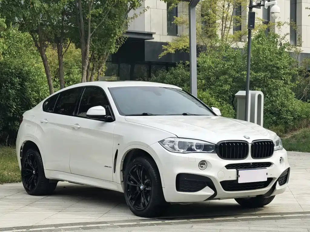BMW X6 — миниатюра 6