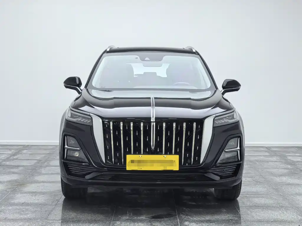 Hongqi Hongqi HS5 - фото 2