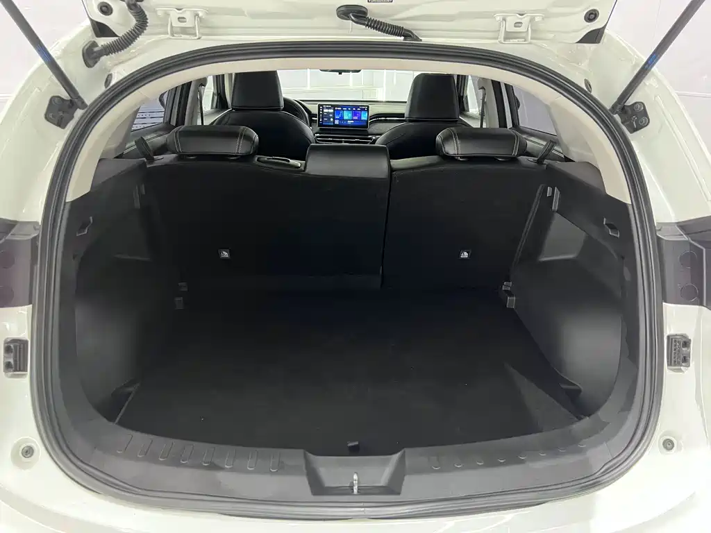 Haval Chitu — миниатюра 18