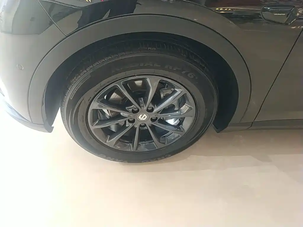 Leapmotor Leapmotor C11 — миниатюра 23