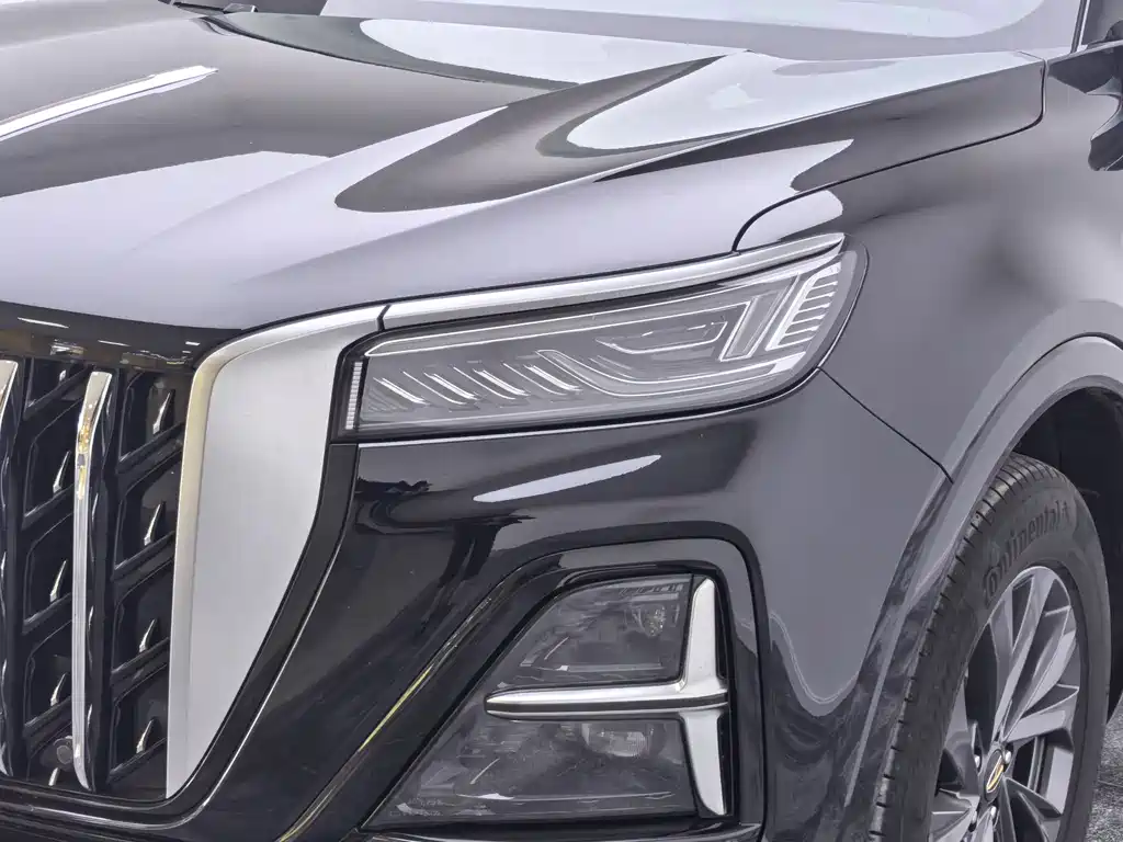 Hongqi Hongqi HS5 - фото 18