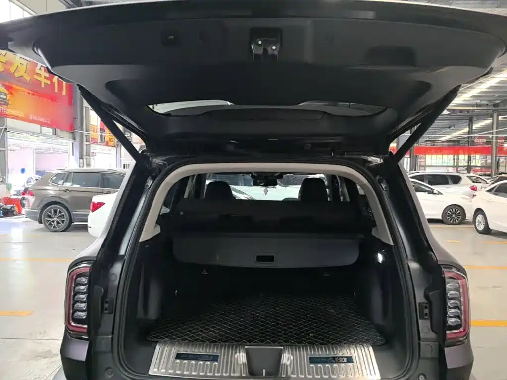 Haval Big Dog — миниатюра 19