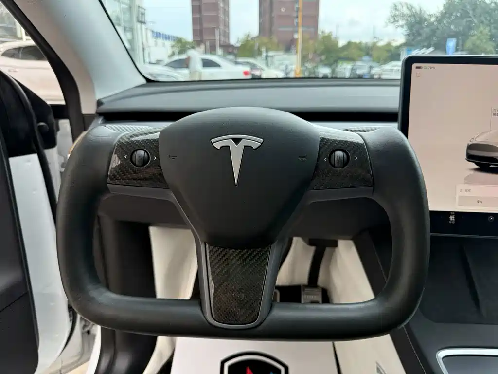 Tesla Model Y — миниатюра 14