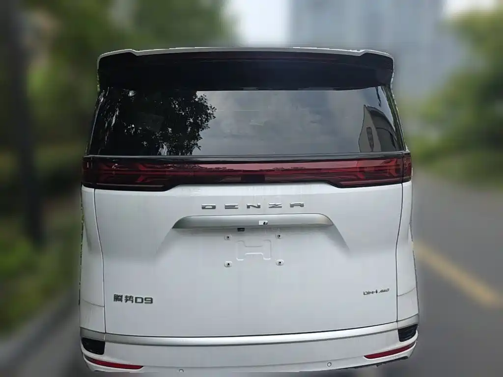 Denza Denza D9 — миниатюра 8