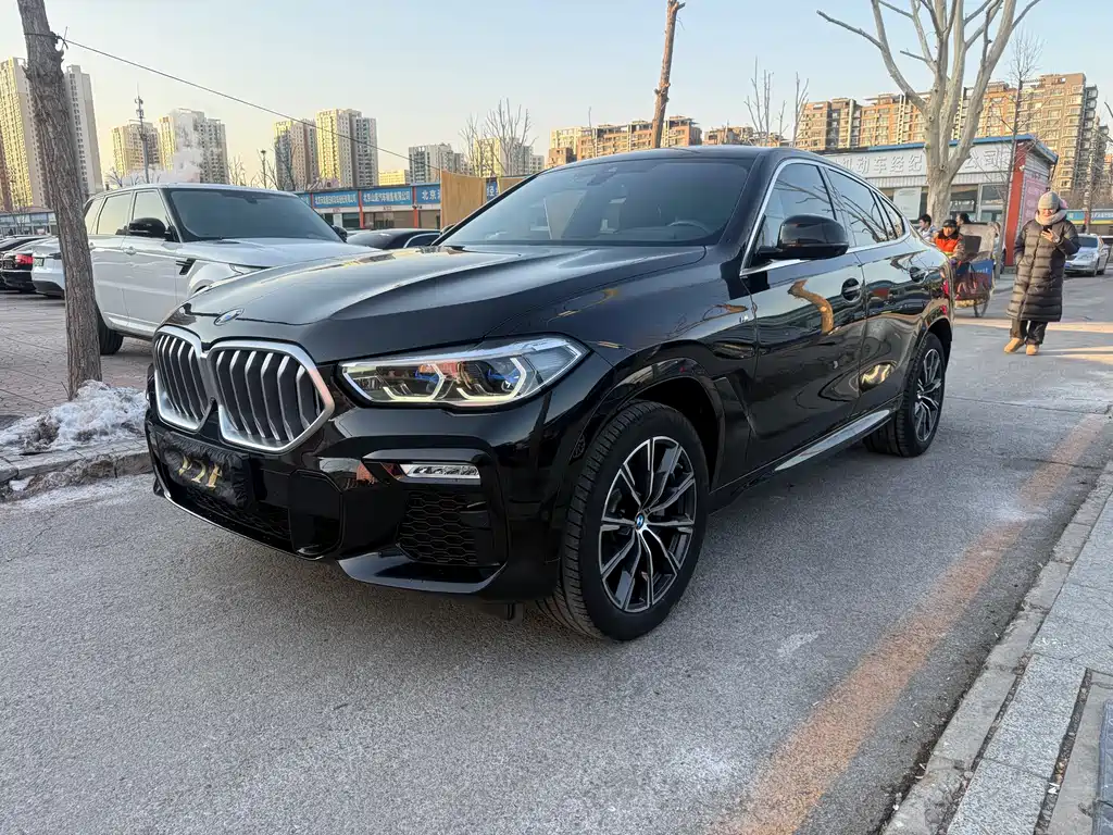 BMW X6